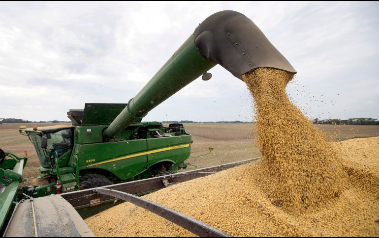 Manuel Tarriba afirmó que Senasica está permitiendo la importación de maíz sin revisión ni fumigación. AP/M. Conroy