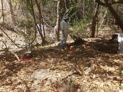 Se localizan 43 fragmentos de posibles restos óseos, así como elementos balísticos, prendas de vestir y otros objetos que fueron embalados y etiquetados bajo cadena de custodia para su posterior estudio. TWITTER / @FiscaliaMich