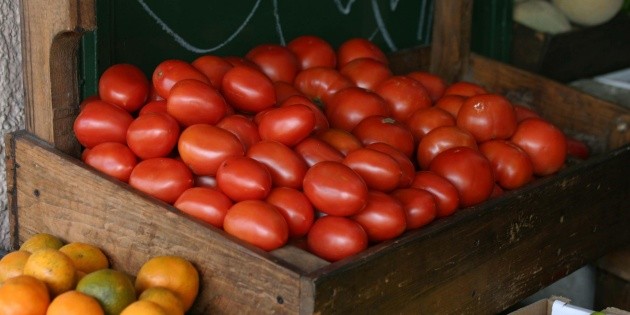 Afectar&aacute; a productores jaliscienses cuota a jitomate: Comce