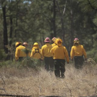Combatientes trabajan para extinguir cinco incendios en Jalisco