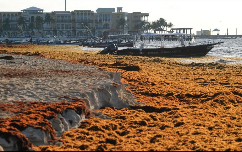 Preocupación. Los dueños de los lujosos hoteles costeros mexicanos están desesperados por encontrar soluciones. AP