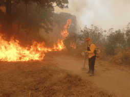 Combate a incendio en La Primavera continuará por la noche