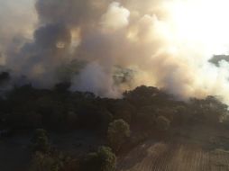Brigadistas combaten el incendio desde que se reportó ayer alrededor de las 15:50 horas. ESPECIAL