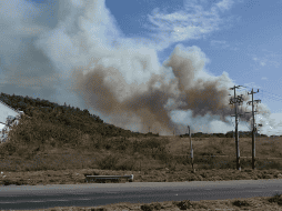 Permanecen dos frentes activos, uno en Mesas de San Juan y otro en Mesa de los Caballos. TWITTER / @SemadetJal