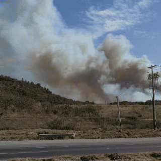 Indagan si fuego en La Primavera fue por carne asada