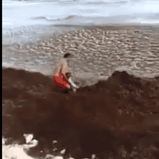 Rescatan a turista a punto de ahogarse en zona con sargazo