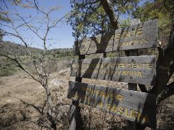 Desde 2016 se modificaron las leyes para impedir cambios de uso de suelo por 20 años en los predios forestales que sufrieran un incendio intencional. EL INFORMADOR / ARCHIVO