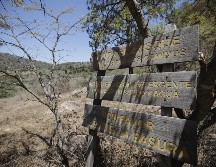 Desde 2016 se modificaron las leyes para impedir cambios de uso de suelo por 20 años en los predios forestales que sufrieran un incendio intencional. EL INFORMADOR / ARCHIVO