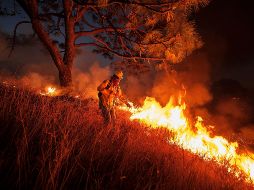 Las zonas más afectadas están en municipios del Área Metropolitana como Tala, Tlajomulco o Zapopan. EL INFORMADOR / ARCHIVO