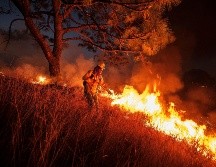 Las zonas más afectadas están en municipios del Área Metropolitana como Tala, Tlajomulco o Zapopan. EL INFORMADOR / ARCHIVO