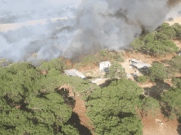 En total participaron 577 elementos, 108 vehículos y los helicópteros 