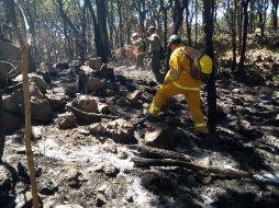 Ayer, alrededor de las 21:00 horas, Protección Civil Jalisco informó que después de 28 horas de trabajo coordinado, el incendio en La Primavera fue extinguido. TWITTER / @PCJalisco