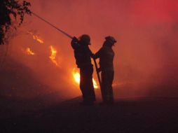 ESPECIAL / Gobierno de Zapopan
