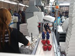 Se generan alrededor de 25 mil empleos directos y más de 100 mil indirectos en esta industria. EL INFORMADOR/Archivo