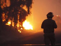 También es posible encontrar las noticias principales e información local oficial, como números de teléfono y sitios web de emergencia y recomendaciones. ESPECIAL/ Bomberos de Zapopan