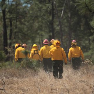 Al menos nueve mil 730 hectáreas afectadas por incendios en Estado de México