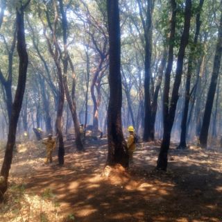 Brigadistas controlan incendio en el Cerro Viejo de Tlajomulco