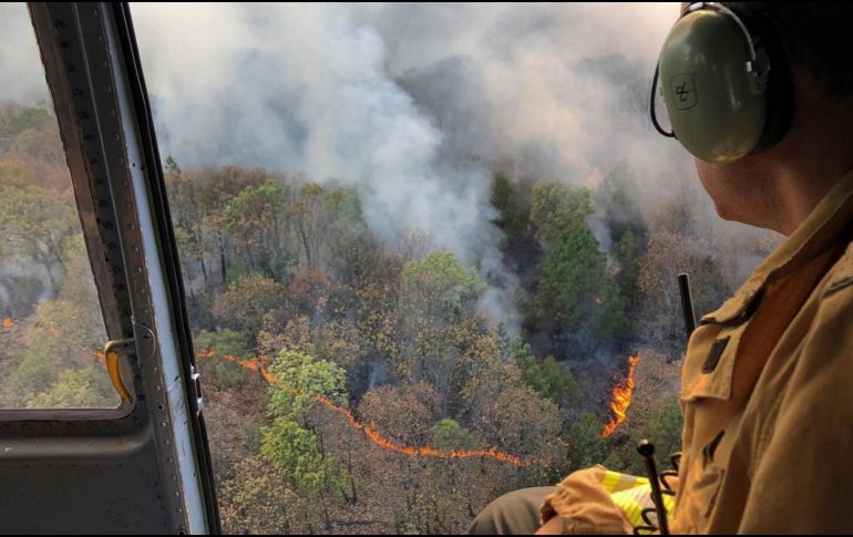 El colectivo pide vigilar el cumplimiento de prohibición al cambio de uso de suelo en zonas boscosas que han sido incendiadas. NTX/ESPECIAL/ARCHIVO