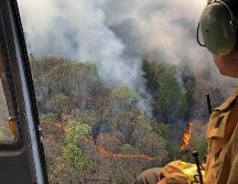 El colectivo pide vigilar el cumplimiento de prohibición al cambio de uso de suelo en zonas boscosas que han sido incendiadas. NTX/ESPECIAL/ARCHIVO