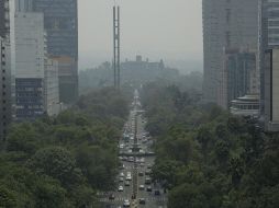 Los miles de decesos son atribuibles a la contaminación atmosférica en función del elevado número de ciudades en el país, menciona la legisladora morenista. EL INFORMADOR / ARCHIVO