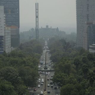 Más de 40 mil muertes por contaminación, asegura diputada de Morena