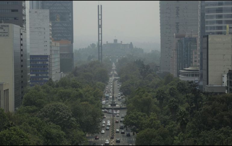 Los miles de decesos son atribuibles a la contaminación atmosférica en función del elevado número de ciudades en el país, menciona la legisladora morenista. EL INFORMADOR / ARCHIVO