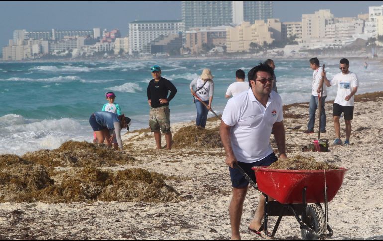Voluntarios limpian este sábado el sargazo de las playas de Cancún. EFE/A. Cupul