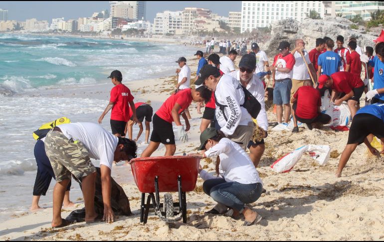 Voluntarios limpian este sábado el sargazo de las playas de Cancún. EFE/A. Cupul