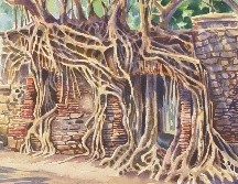 Los alrededores son fastuosos en escenarios naturales. La belleza de Veracruz está en sus colores puros e intensos. ESPECIAL / J. Monroy