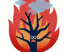 La Primavera se ha quemado 47 veces durante 2019. Todo el cóctel está en la licuadora para que la Primavera salte de tragedia en tragedia. EL INFORMADOR / E. Victoria