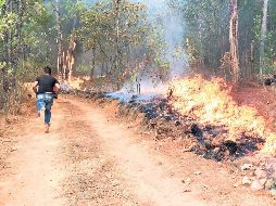 Jalisco ocupa el sexto lugar a nivel nacional por este tipo de alarmas, sólo Guerrero, Chiapas, Campeche, Oaxaca y Michoacán han tenido más siniestros. SUN