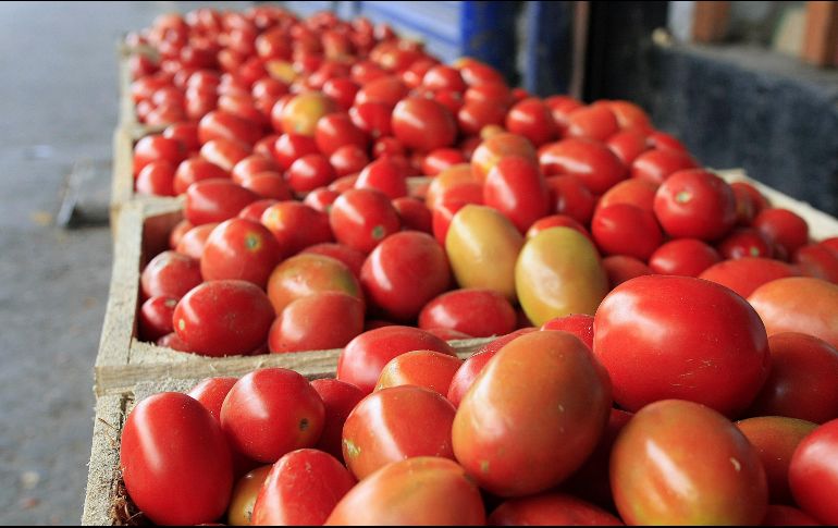 Estados Unidos eliminó la aplicación del acuerdo de suspensión a la investigación antidumping, por lo que se impuso un arancel de 17.5 por ciento. EL INFORMADOR / ARCHIVO