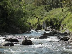 Propoen que los ajustes se realicen en conjunto con propietarios de tierras, usuarios, expertos y autoridades, y no de manera unilateral. EL INFORMADOR/ ARCHIVO