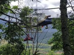 Paramédicos bajaron de un helicóptero entre los árboles, quitaron el parabrisas del auto y extrajeron a la mujer. AP/California Highway Patrol