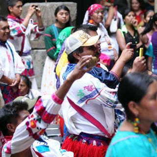 En consultas, se han violentado derechos de pueblos originarios: UNAM