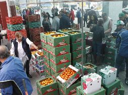 México es un proveedor muy importante para ese país, pues uno de cada dos tomates en Estados Unidos es mexicano. EL INFORMADOR/ ARCHIVO