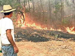 Un total de dos mil 270 combatientes trabajan en el combate de las llamas. SUN