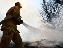 Bomberos municipales informan que por las dimensiones del incendio no se encontró riesgo de propagación ni se requirió el apoyo de su dependencia. EL INFORMADOR/ ARCHIVO