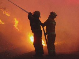 Provocan cuatro de cada 10 incendios en La Primavera