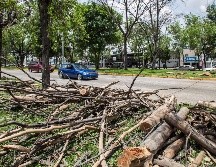 Los trabajos rentados son adicionales a los que corresponden a la Dirección de Parques y Jardines. EL INFORMADOR/ARCHIVO