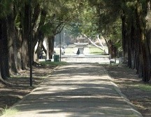 El proyecto busca mejorar el equipamiento de áreas verdes para bajar dos grados de temperatura. EL INFORMADOR/ARCHIVO