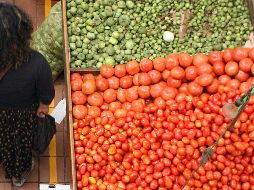 La industria tiene 400 mil empleos directos, de los cuales 50 por ciento son pequeños y medianos productores. EL INFORMADOR/ARCHIVO