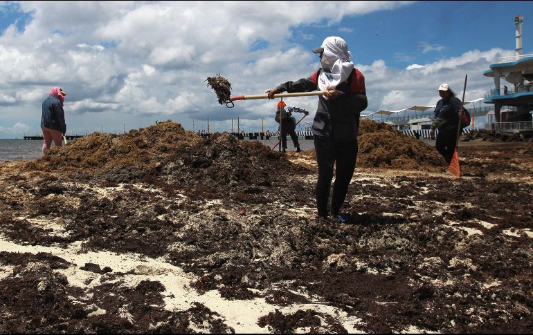Se indicó que continuarán las jornadas de limpieza voluntaria en las playas públicas, denominadas 