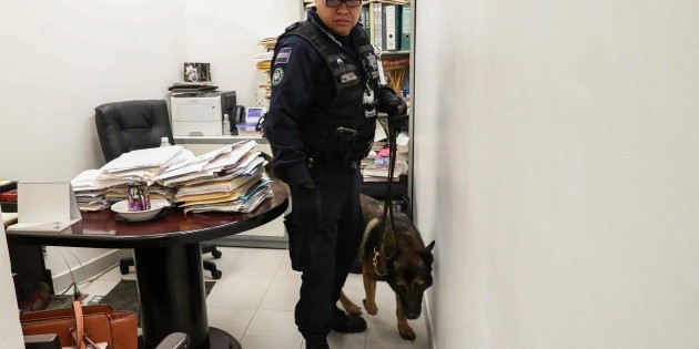 Sheinbaum reprueba ataque contra senadora de Morena