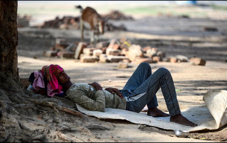 Más del 40% del territorio indio enfrenta problemas de sequía este año, según el Instituto Indio de Tecnología de la ciudad de Gandhinagar. AFP / S. Kanojia