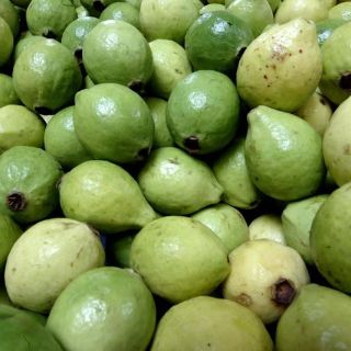 Comer guayaba puede ayudar a bajar de peso