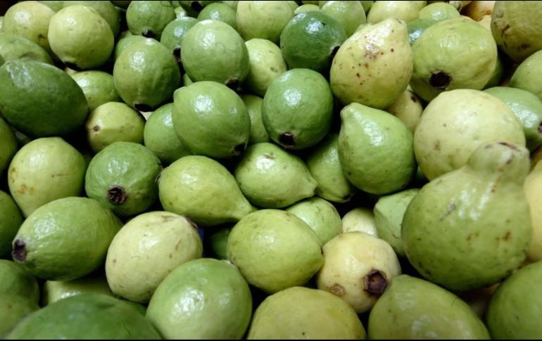 Por otro lado, la guayaba tiene propiedades depurantes y desintoxicantes, las cuales ayudan a eliminar las toxinas del organismo e impiden la absorción de grasas y azúcares de los alimentos. EL INFORMADOR / ARCIHVO