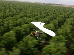 Samsung C&T, Uralkali, K+S y Eurochem aprovechan el abandono de la industria. NOTIMEX/Archivo