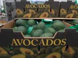 El mandatario pretende castigar a México por sus políticas migratorias, imponiendo tarifas a todos los productos mexicanos que ingresan a su país. EL INFORMADOR / ARCHIVO