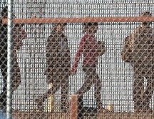 Más de 200 mil familias migrantes han sido puestas en libertad en Estados Unidos desde el 1 de diciembre. AFP/J. Raedle